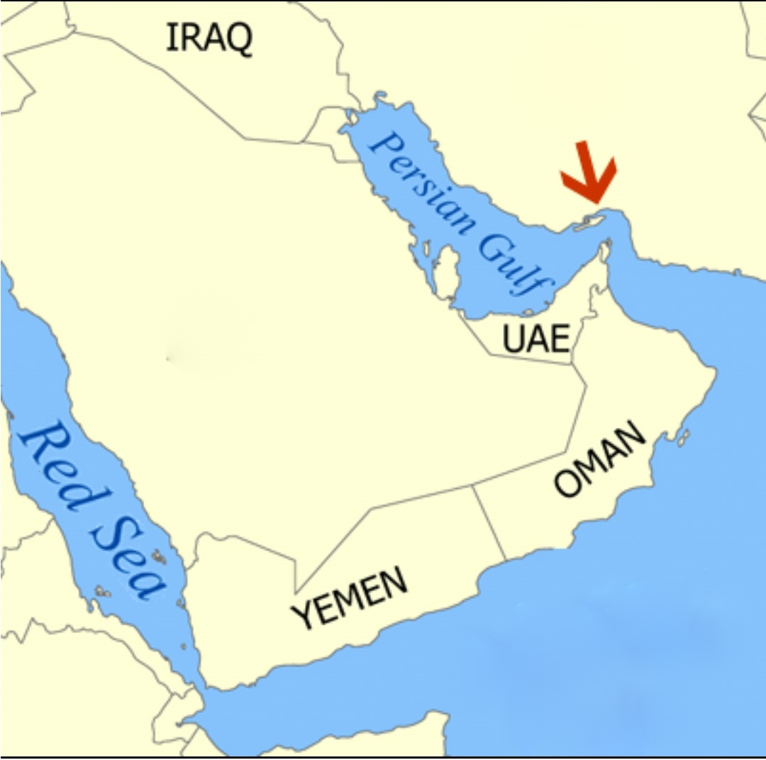 Geography Quiz (GQ031120) True Vigyan